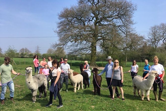 2-Hour Alpaca Farm Experience in Kenilworth - Who should book this farm experience?