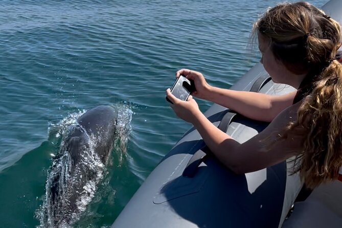 90 Minute Coastal Explorer in Torquay - A fast, close-up look at Torquay’s coast