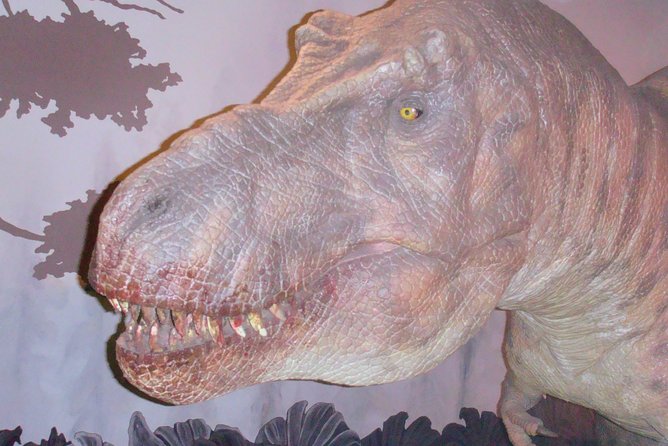 A Day at the Museum - Natural History Museum London - Accessibility and practical comfort