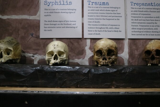 Admission Ticket to Sick To Death in Chester - Who will enjoy Sick to Death most?