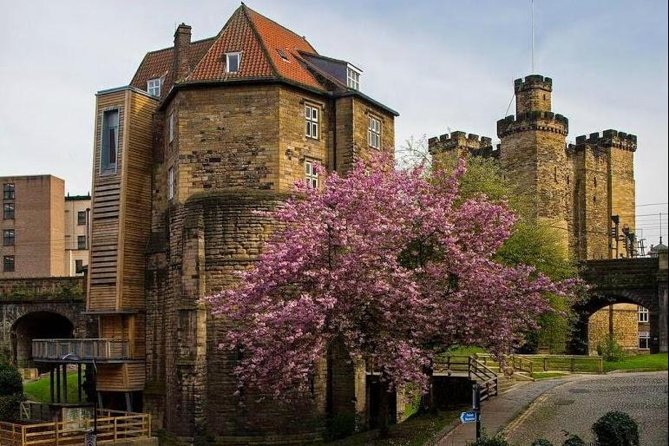 Annual Admission Newcastle Castle Ticket - Medieval stories that work for families