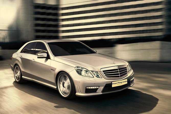 Bath to Central London private transfers - Service animals, transport links, and participation