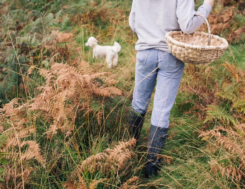 Beginner Foraging Walk: Wild food walking tour & tasters - Starting at The Buddle Inn in Niton