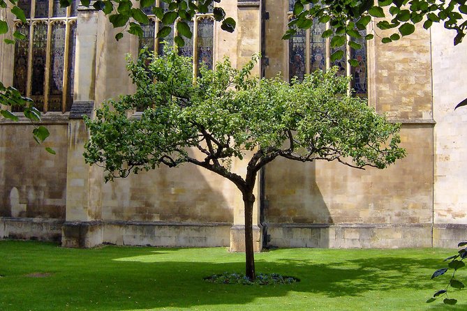 Cambridge University Walking Tour - Trinity College and Newton’s apple tree