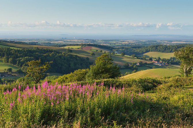 Canterbury & the White Cliffs of Dover Tour (Small-Group) - Why the small group changes the day