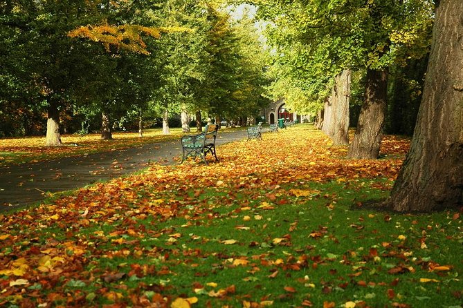Cardiff Day Tour from London with Local Guide (Visit Wales) - Cardiff Bay and Penarth: your open time