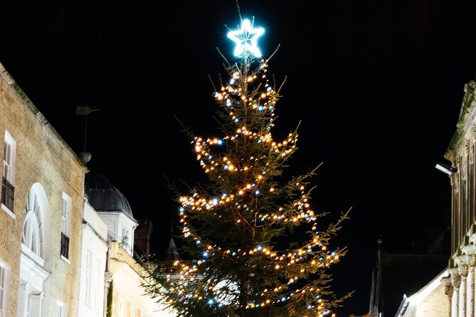 Christmas Mulled Wine Walk of Winchester - Christmas lights along Winchester High Street
