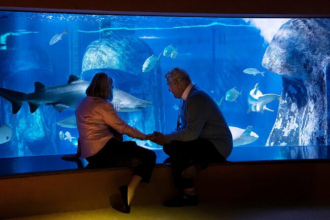 Combo Ticket: Madame Tussauds & SEA LIFE London Aquarium - Two famous London stops with very different moods