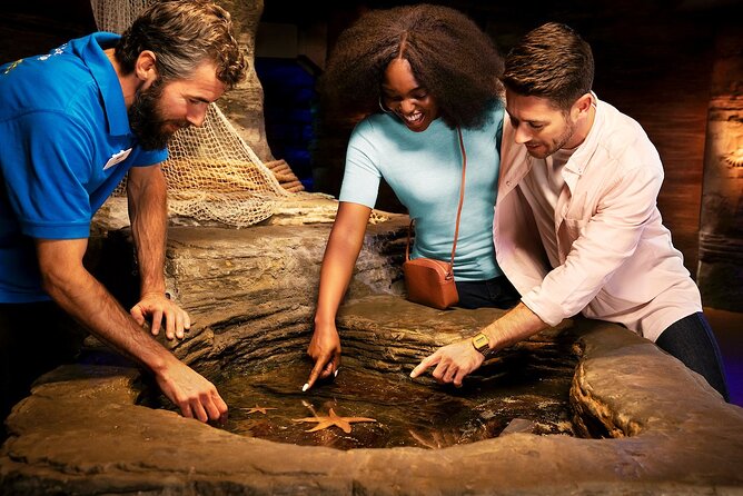 Combo Ticket: Madame Tussauds & SEA LIFE London Aquarium - SEA LIFE London Aquarium: a quieter second act