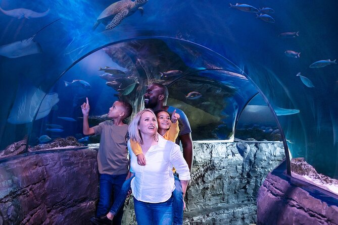 Combo Ticket: Madame Tussauds & SEA LIFE London Aquarium - Is the $80.13 price good value?