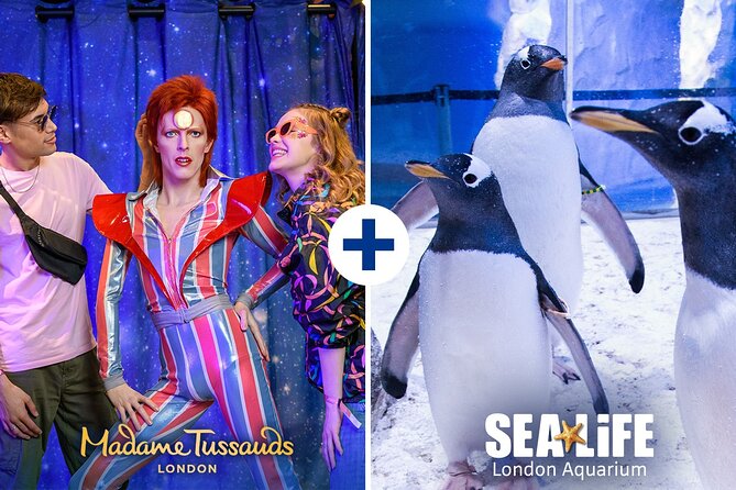 Combo Ticket: Madame Tussauds & SEA LIFE London Aquarium - Who will enjoy this combo most?