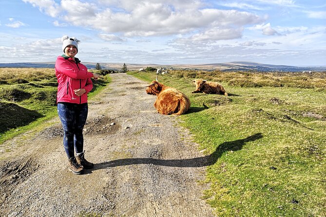 Dartmoor Tour - Who gets the best value from this tour