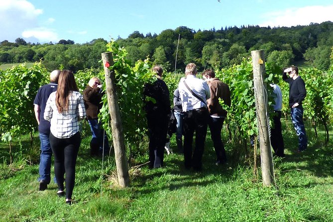 English Wine and Cheese Tour from London - Silcocks Farm makes the cheese the star