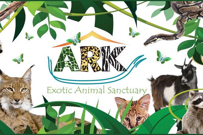 Fox Encounter for 2 people and park entry - What the 30-Minute Session Includes
