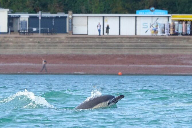 Guided Wildlife and Sea Cave Kayak Safari in English Riviera - Getting comfortable in the tandem kayaks