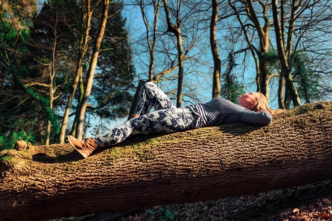 Half-day Forest Bathing and Yoga in Brighton's Woodlands - From One Garden to Stanmer Park’s trees