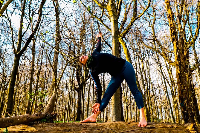 Half-day Forest Bathing and Yoga in Brighton's Woodlands - Who will enjoy this most?