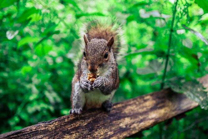 Half-day Forest Bathing and Yoga in Brighton's Woodlands - One Garden’s lawns, studio and garden walls
