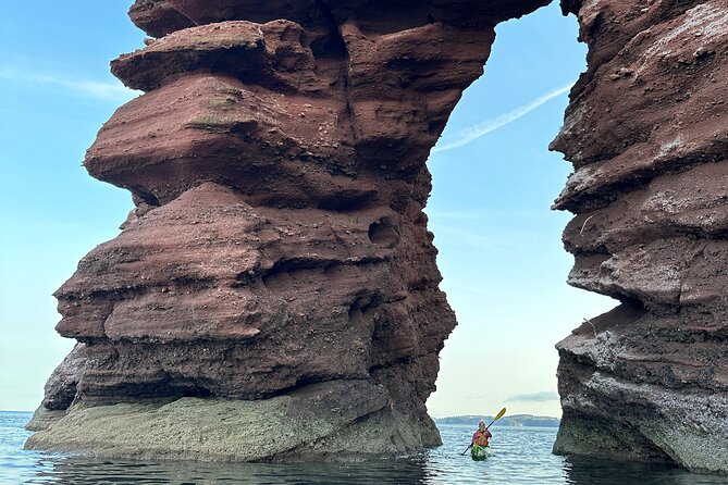 Half Day Sea kayak Guided Tour - Returning to the meeting point