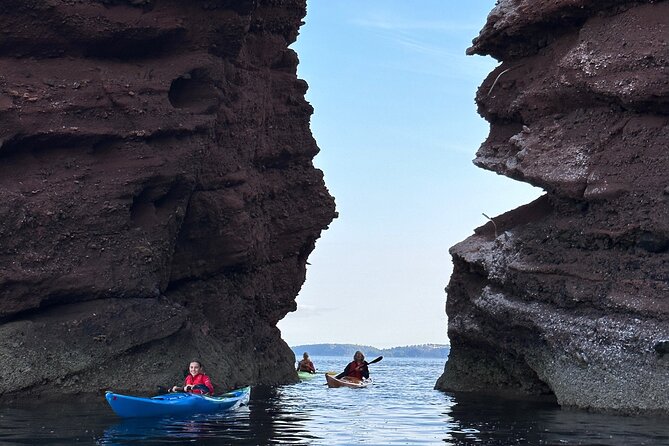 Half Day Sea kayak Guided Tour - What the $66.06 price really covers