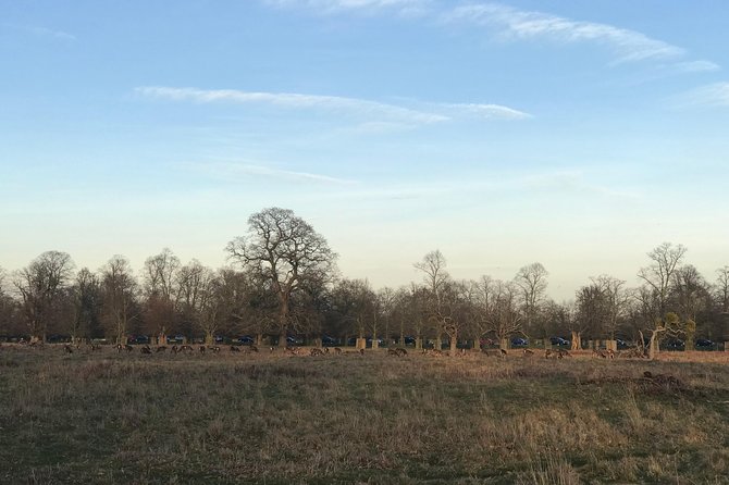Hampton Court Palace Grounds Bike Tour - Bushy Park, deer, and a surprising military stop