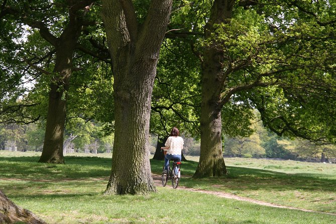 Hampton Court Palace Grounds Bike Tour - What the palace stop really means