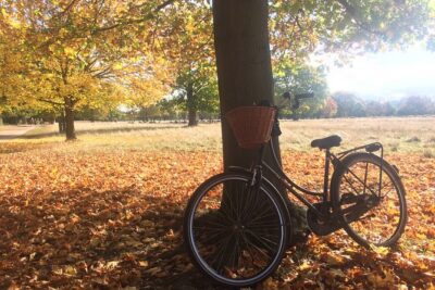 Hampton Court Palace Grounds Bike Tour