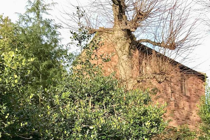 Haunted Chester and its Ghosts: A Self-Guided Walking Tour - Dollecatble and the reports of psychic investigators