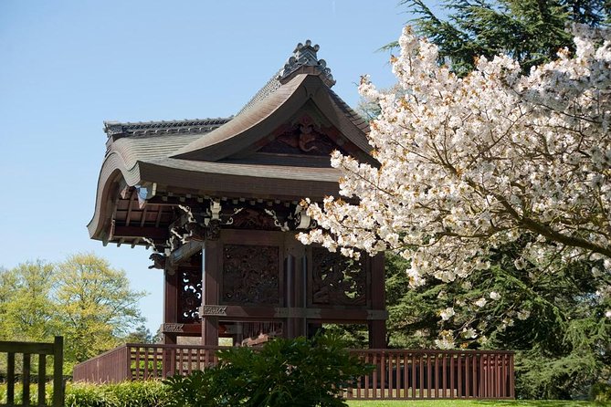 Kew Gardens Entrance Ticket - Azaleas, bamboo, Minka House, and seasonal color