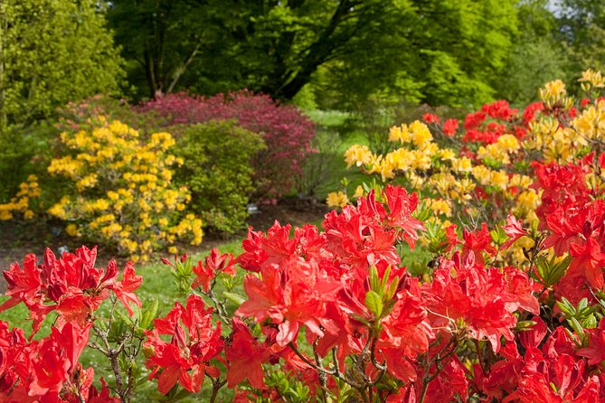 Kew Gardens Entrance Ticket - Free guided walks and independent exploring