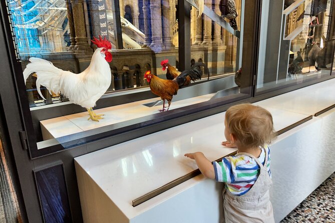 Kid-Friendly Natural History Museum & Dinosaurs Private Guided Tour in London - A private pace for young children