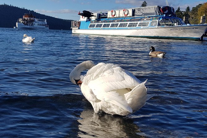 Lake District Adventure Sightseeing Day Trip from Liverpool - Guides, vehicles, and the feel of the group