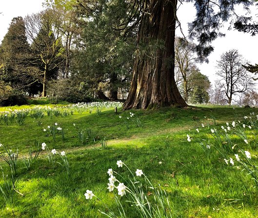 Lake District from Liverpool including Lake Cruise - Is the $79.92 price good value?