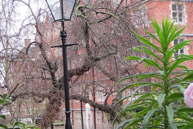 Law in London Private Tour - Is the $370.24 price fair?