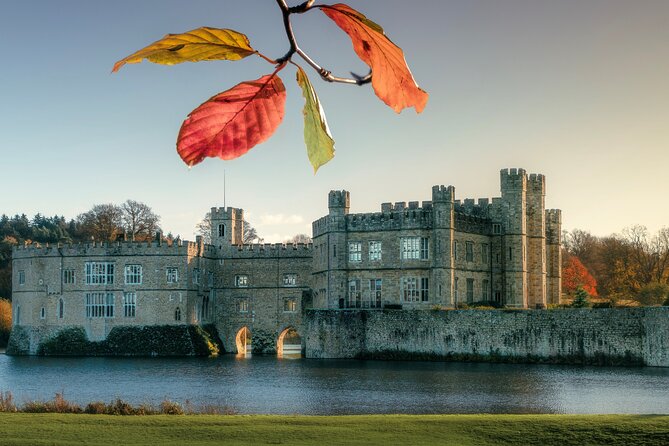 Leeds Castle Admission - Ultimate Explorer Tickets - The Maze and Underground Grotto