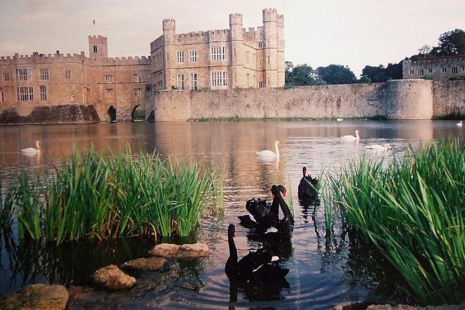 Leeds Castle, Canterbury and White Cliffs of Dover - Driver Guide - What the private vehicle changes