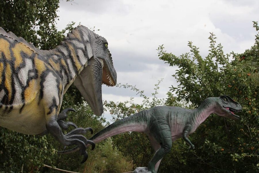 Lincolnshire: ARK Wildlife and Dinosaur Park Entry Ticket - Jurassic Ark brings the dinosaur factor