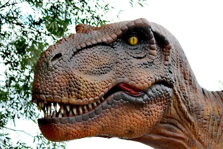 Lincolnshire: ARK Wildlife and Dinosaur Park Entry Ticket - Who will enjoy ARK Wildlife and Dinosaur Park most
