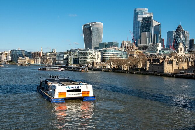 London: Harry Potter Walk, Hop-on Hop-off Bus Tour and Cruise - What the price means for your day
