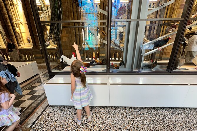 London Natural History Museum with Dinosaurs Gallery Private Tour for Kids - Is $325.46 per person good value?