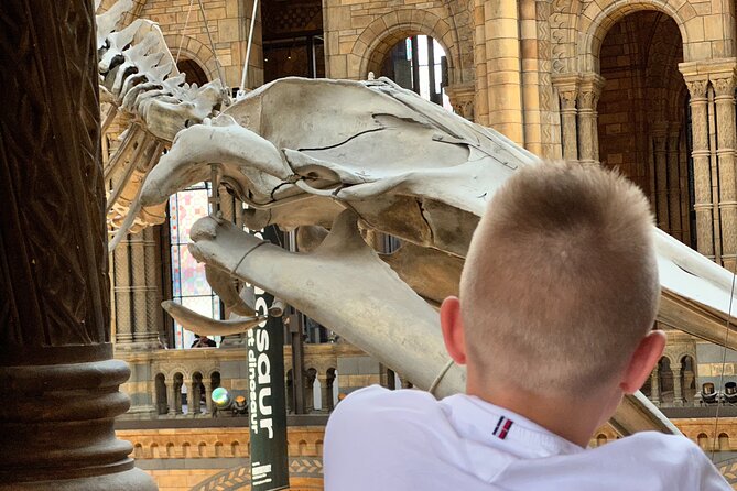London Natural History Museum with Dinosaurs Gallery Private Tour for Kids - Timing, comfort, and practical details