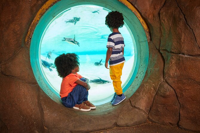 London Zoo Entry Ticket - Walking, maps, and getting around