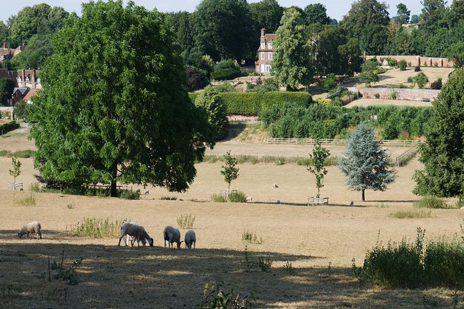 Midsomer Murders Tour from London - Who will enjoy this most?