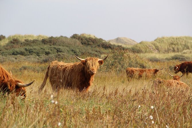 Multi-Day Tour from Brighton to Edinburgh & York including Scottish Highlands - What this four-day route really gives you