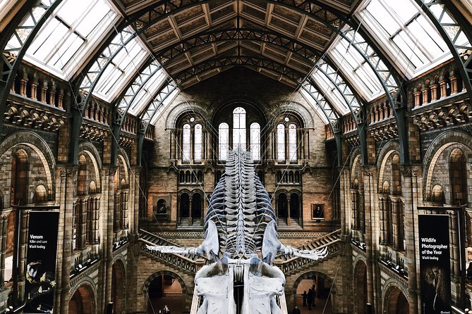 Natural History Museum London - Exclusive Guided Museum Tour - Why the Natural History Museum needs a plan