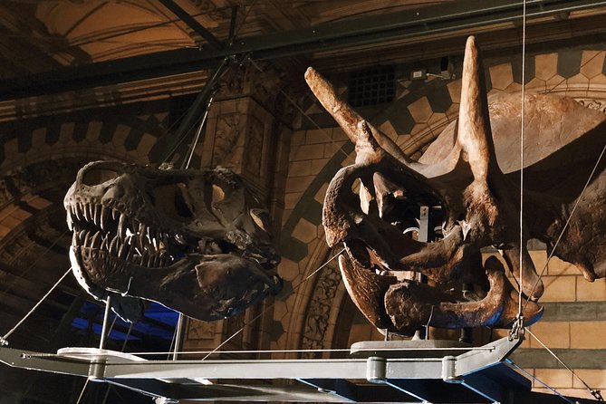 Natural History Museum London - Exclusive Guided Museum Tour - What the private guide adds