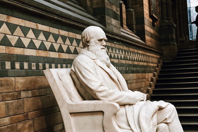 Natural History Museum London - Exclusive Guided Museum Tour - How the two-hour pace feels
