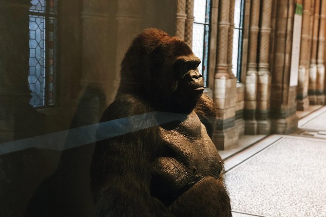 Natural History Museum London - Exclusive Guided Museum Tour - Price and the value question