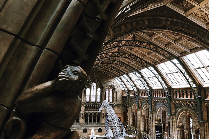 Natural History Museum London - Exclusive Guided Museum Tour - Meeting point, bags, and access