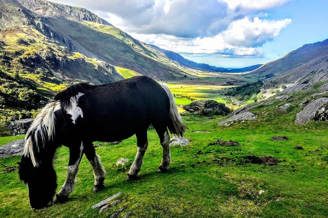 North Wales Adventure Sightseeing Day Trip from Liverpool - Conwy, medieval walls and a careful choice